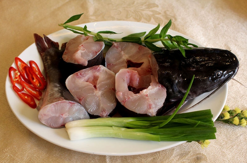 Cá lăng nấu gì ngon? Top 5 món ngon từ cá lăng có thể bạn chưa biết